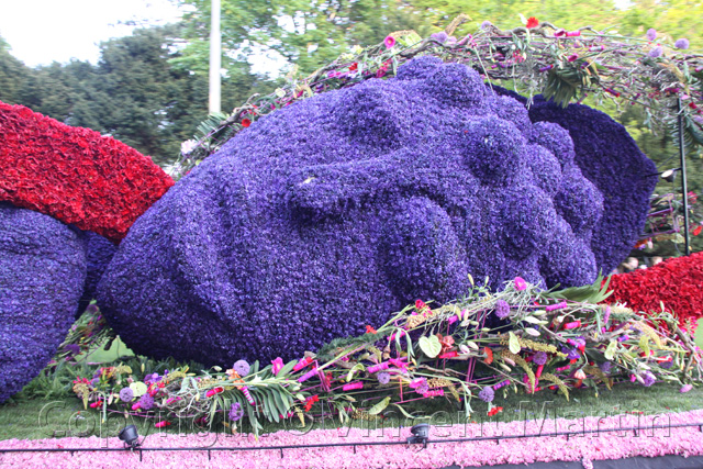 Bloemencorso